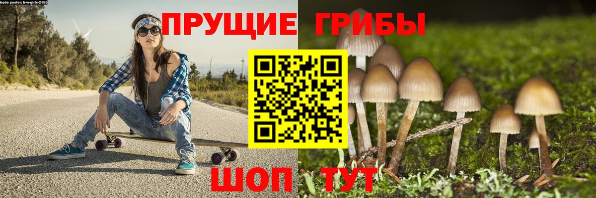Ижевск  Псилоцибиновые грибы Psilocybine cubensis  Вход с VPN 