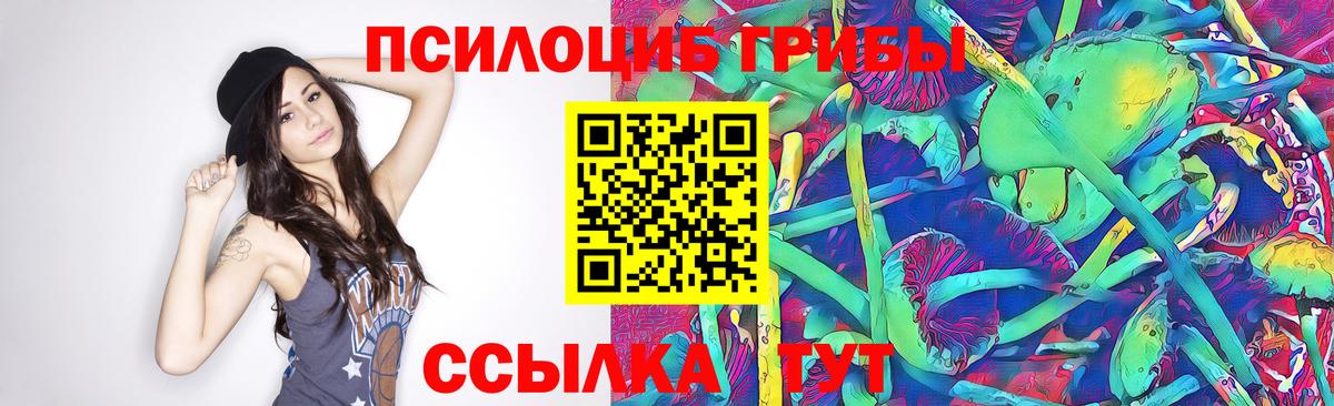 МЕФ Ижевск